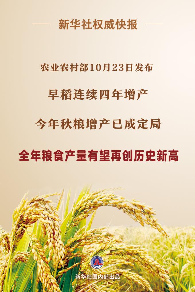 新華社權威快報|今年秋糧增產已成定局
