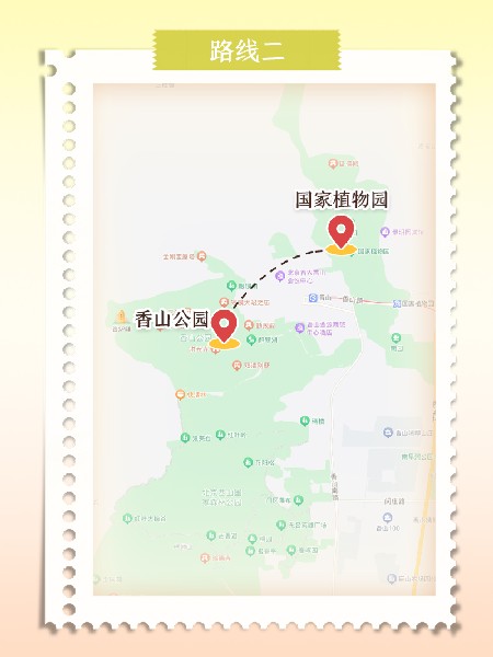 追花指南第六期！杏花雨 楊柳風 北京最美的杏花在這里