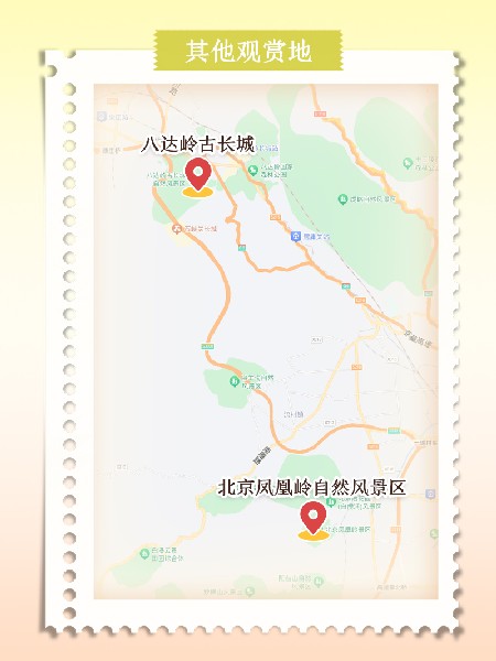 追花指南第六期！杏花雨 楊柳風 北京最美的杏花在這里