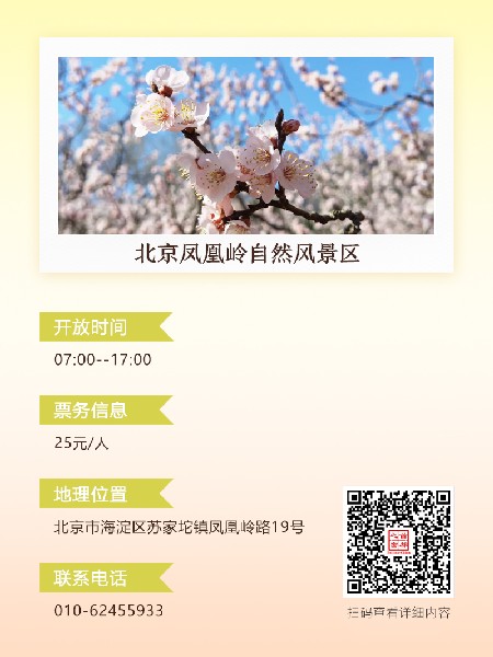 追花指南第六期！杏花雨 楊柳風 北京最美的杏花在這里