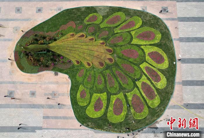 圖為航拍花壇。(無人機照片) 翟羽佳 攝