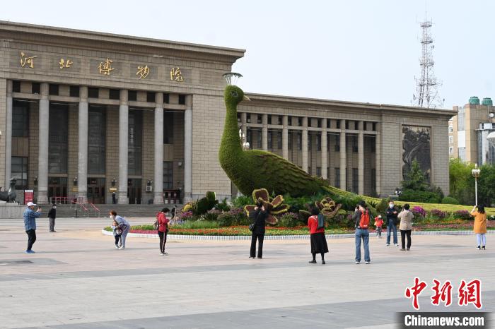 圖為游客在花壇前拍照打卡?！〉杂鸺?攝