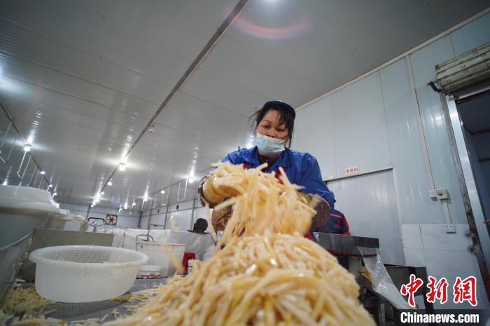 圖為一名工人正在處理切成條狀后的酸筍?！№f國政 攝