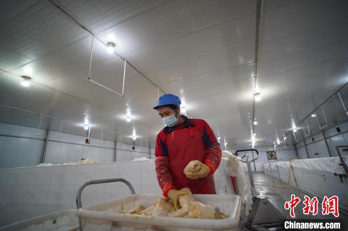 圖為一名工人正在查看酸筍腌制效果?！№f國政 攝