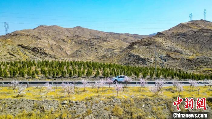 生態(tài)修復(fù)后逐漸變綠的賀蘭山石嘴山段。　石嘴山市委宣傳部供圖