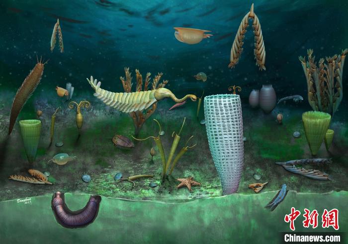 Castle Bank動(dòng)物群藝術(shù)復(fù)原圖(Yang Dinghua繪制)。　施普林格·自然 供圖