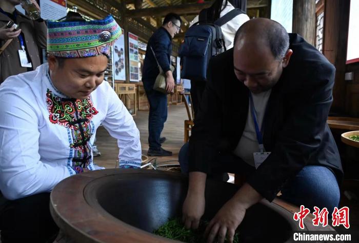 東盟國(guó)家媒體記者了解制茶工藝?！堊?攝