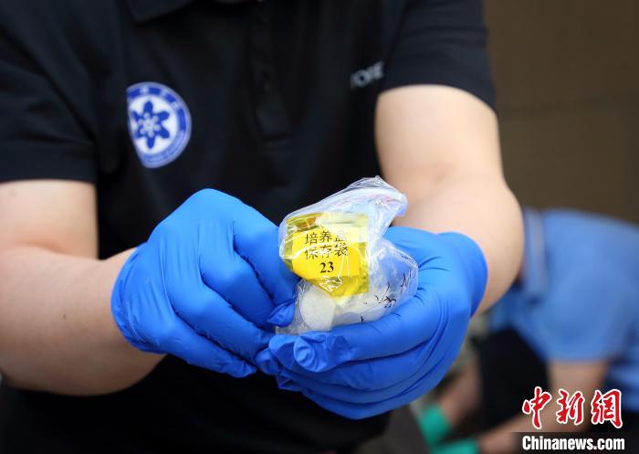 隨神舟十五號返回地面的空間科學(xué)實驗樣品?！≈锌圃嚎臻g應(yīng)用中心 供圖