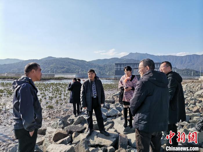 浙江海洋生態(tài)觀察：智慧大腦如何解鎖藍(lán)色發(fā)展密碼？