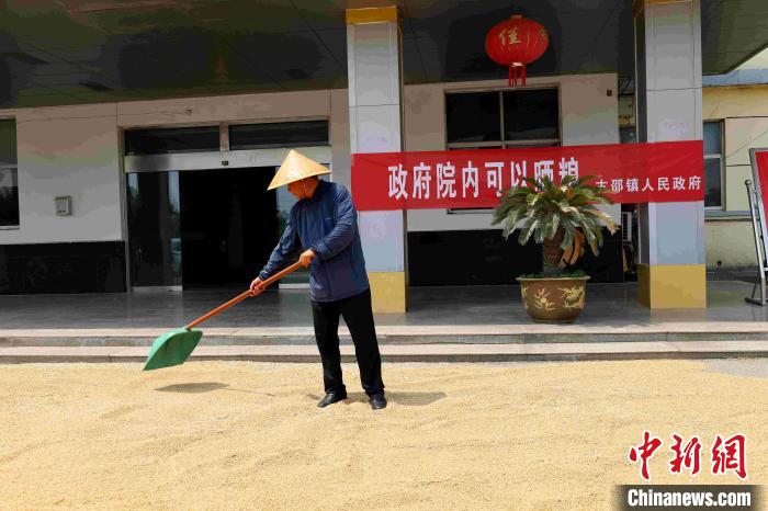 村民在棗莊市嶧城區(qū)古邵鎮(zhèn)政府大院內(nèi)晾曬糧食?！『?　攝