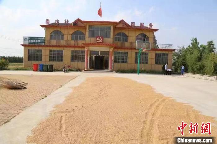 農(nóng)民在邳莊鎮(zhèn)尚莊村黨群服務(wù)中心大院里曬糧?！≠Z萌 攝
