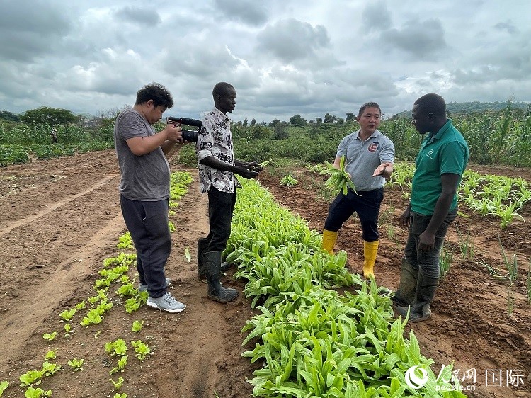 人民網(wǎng)記者走進(jìn)尼日利亞農(nóng)業(yè)技術(shù)示范中心。人民網(wǎng)記者 趙艷紅攝