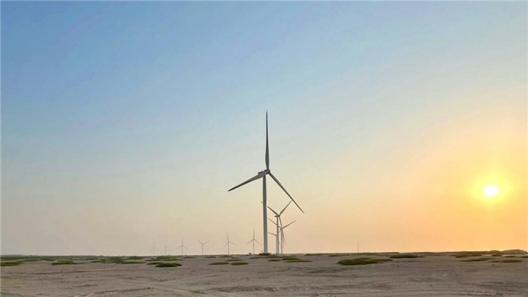 圖為阿聯(lián)酋風(fēng)電示范項目在阿布扎比薩爾巴尼亞斯島上的風(fēng)電場。 中國電建供圖