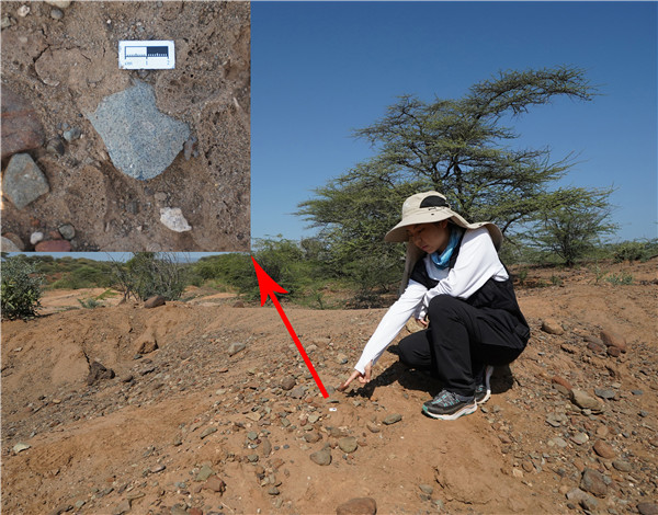 地層中的勒瓦婁哇石片。中肯聯(lián)合考古隊(duì)供圖