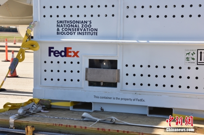 當(dāng)?shù)貢r間11月8日，美國華盛頓史密森學(xué)會國家動物園的大熊貓“美香”“添添”和它們的幼崽“小奇跡”乘坐的專機從華盛頓杜勒斯國際機場起飛前往中國成都。圖為裝有大熊貓的特制“旅行箱”。<a target='_blank' href='/'><p  align=