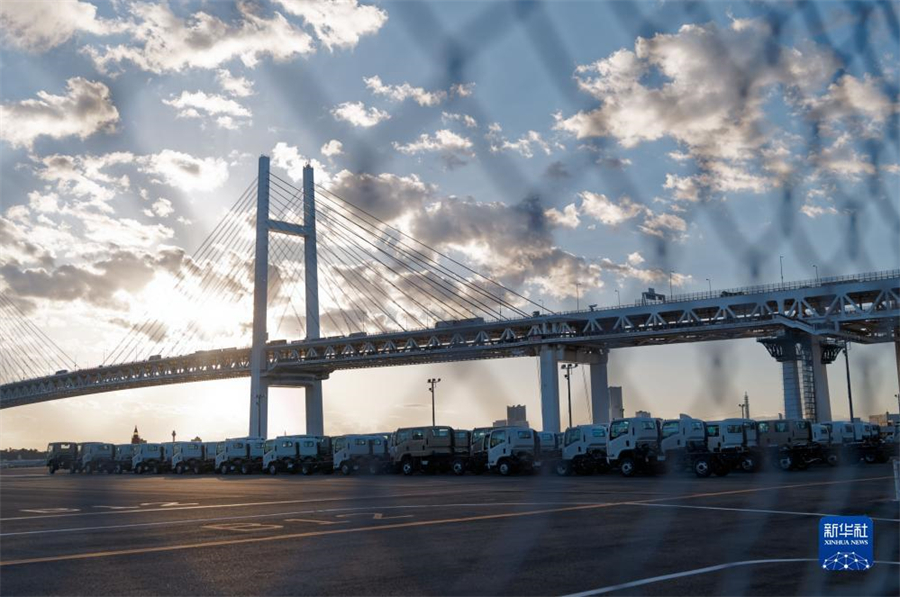 這是11月14日在日本橫濱拍攝的進(jìn)出口汽車集散場地。新華社記者 張笑宇 攝