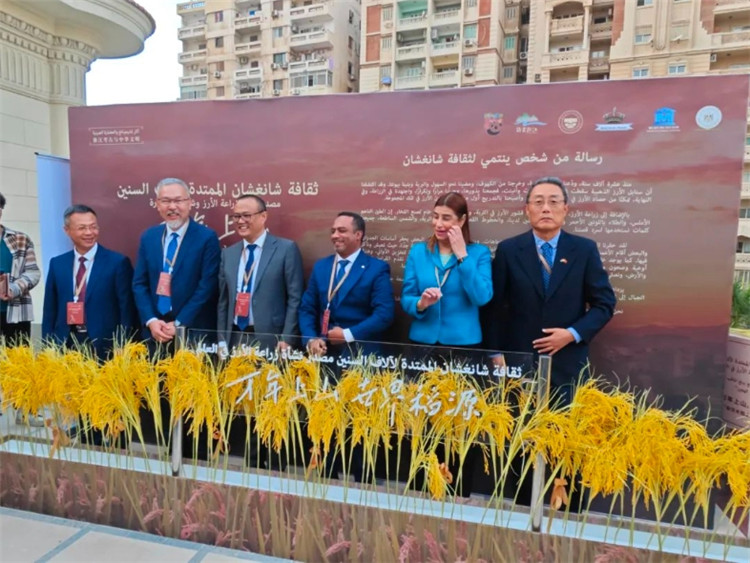 圖為現(xiàn)場(chǎng)嘉賓為特展啟幕。開(kāi)羅中國(guó)文化中心供圖