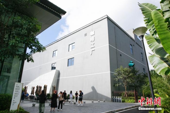 圖為采訪團(tuán)一行參觀咖啡工廠。 曹淼欣 攝