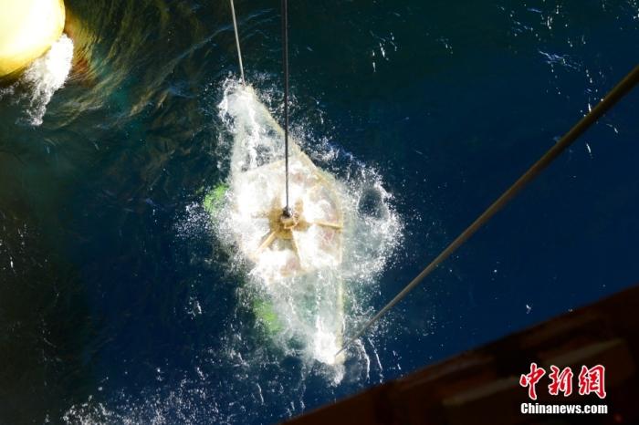 機(jī)器人入水瞬間。<a target='_blank' href='/' _fcksavedurl='/' ><p  align=