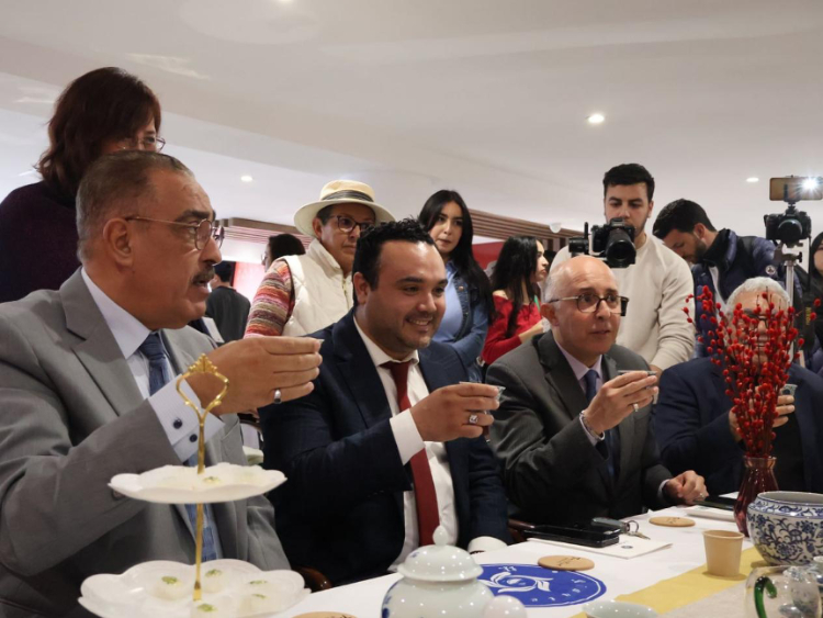 觀眾興致勃勃地體驗茶藝。陳芷珊攝