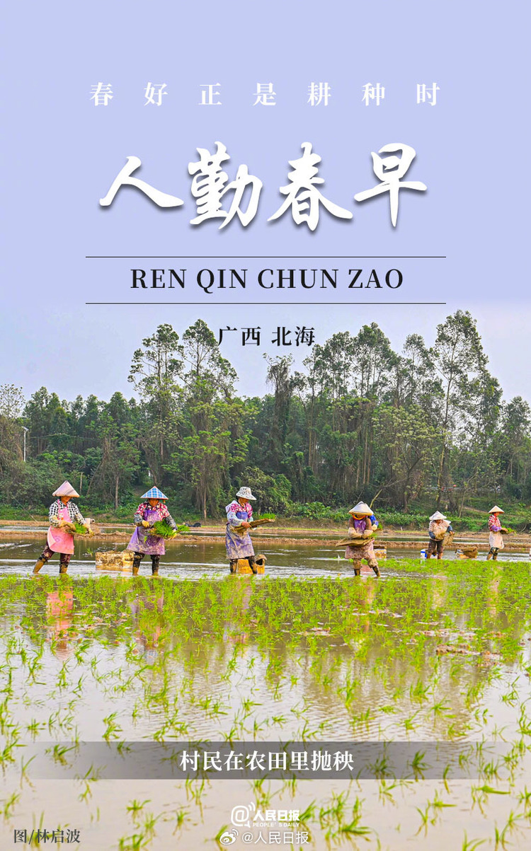 生機(jī)盎然！用課本封面打開春耕畫卷