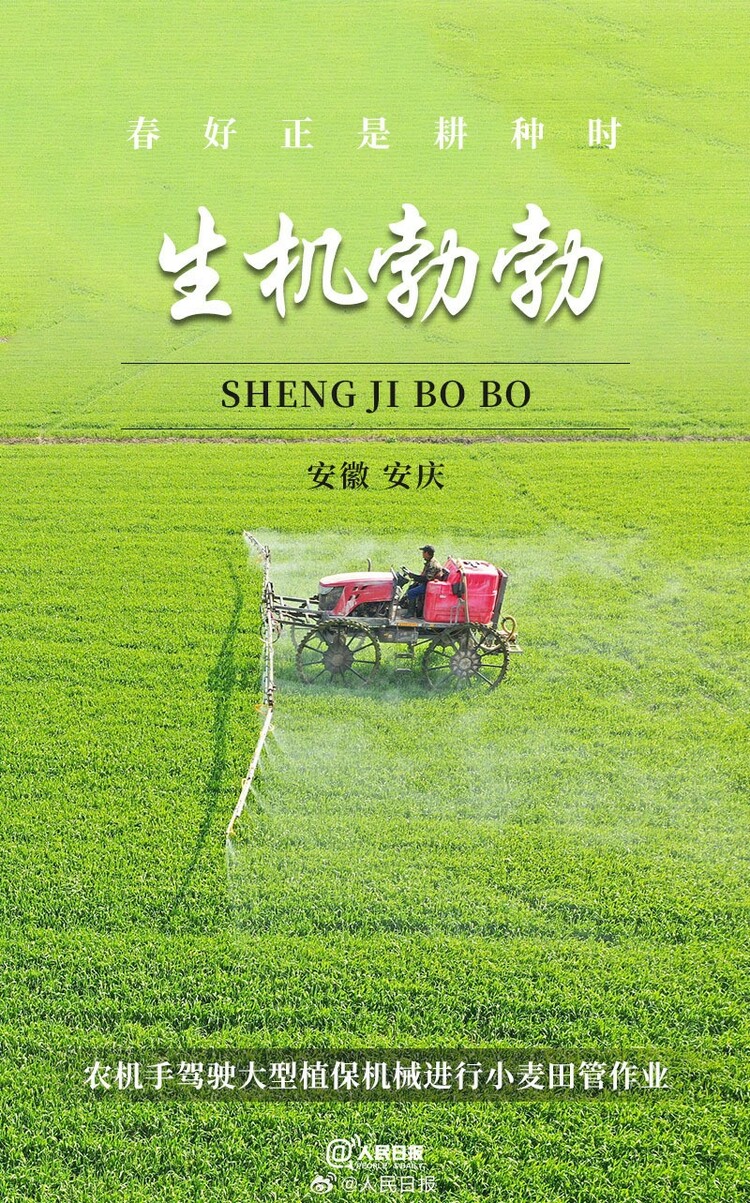 生機(jī)盎然！用課本封面打開春耕畫卷