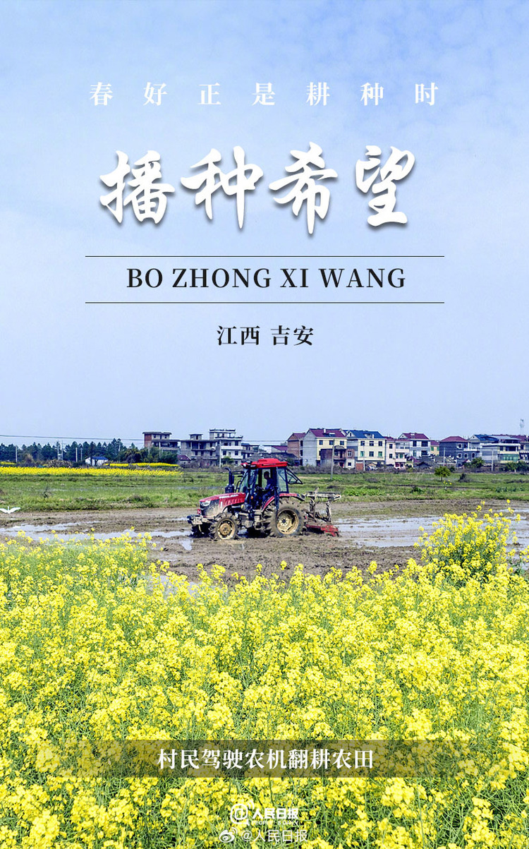 生機(jī)盎然！用課本封面打開春耕畫卷