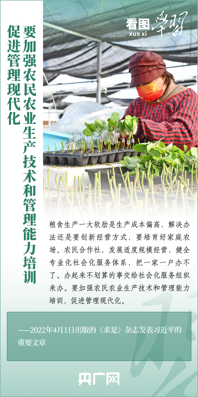 看圖學(xué)習(xí)丨推廣良田、良種、良法、良機(jī) 給農(nóng)業(yè)現(xiàn)代化插上科技的翅膀