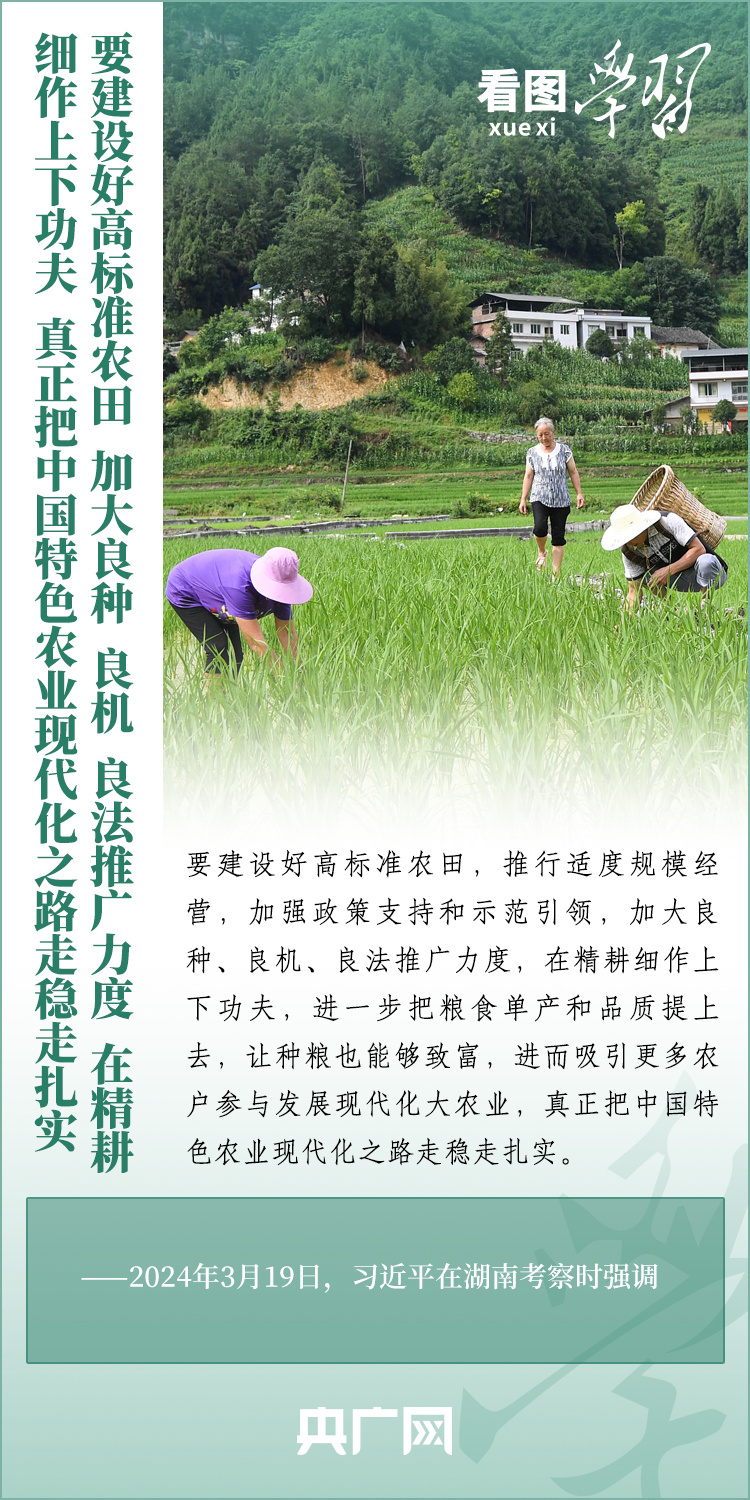 看圖學(xué)習(xí)丨推廣良田、良種、良法、良機(jī) 給農(nóng)業(yè)現(xiàn)代化插上科技的翅膀