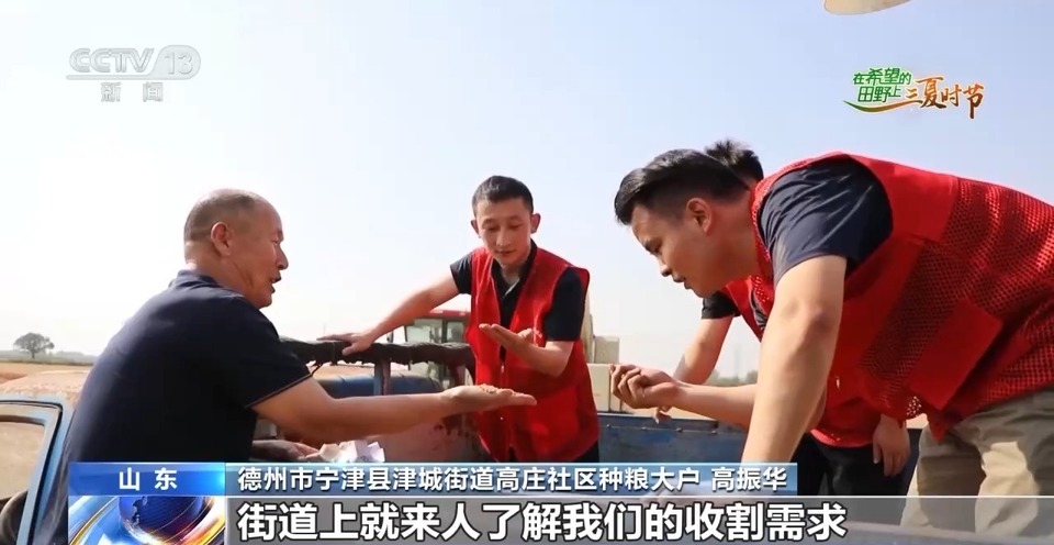 “三夏”生產(chǎn)思維導(dǎo)圖安排上了！還有政府大院等你來(lái)“曬”