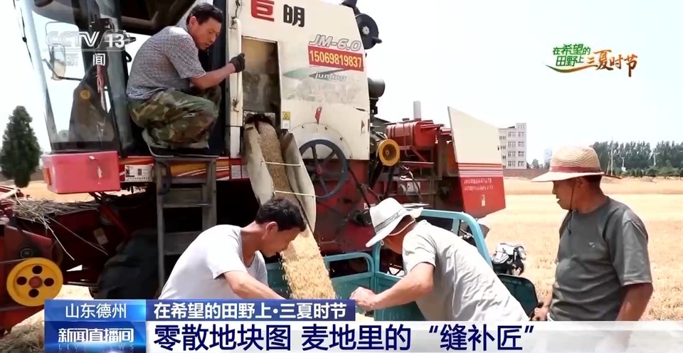 “三夏”生產(chǎn)思維導(dǎo)圖安排上了！還有政府大院等你來(lái)“曬”