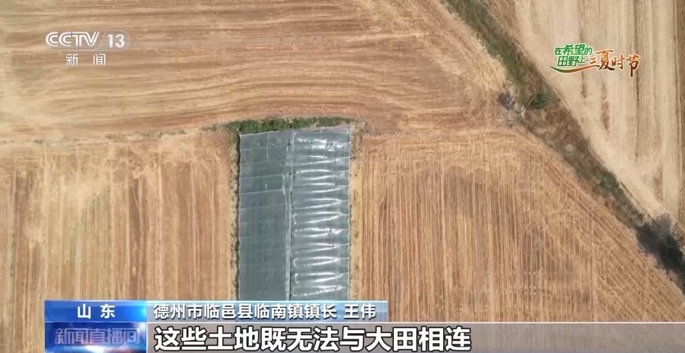 “三夏”生產(chǎn)思維導(dǎo)圖安排上了！還有政府大院等你來(lái)“曬”