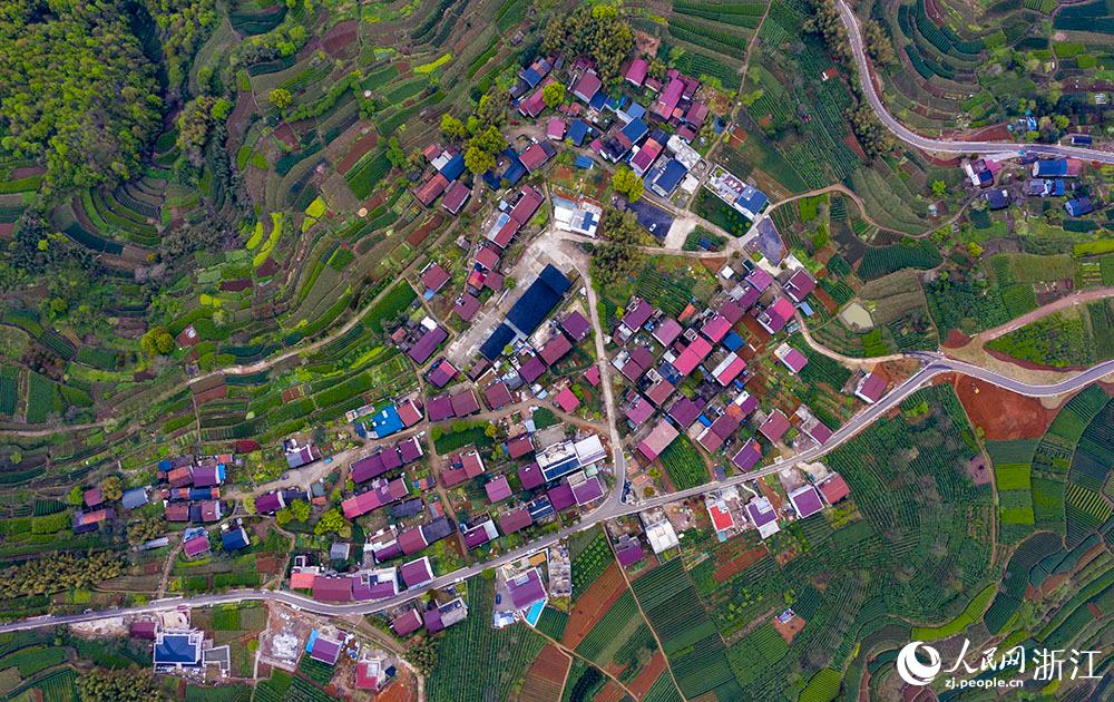 4月1日，紹興市新昌縣東茗鄉(xiāng)下巖貝村風(fēng)光秀麗，茶園旖旎。人民網(wǎng) 章勇濤攝