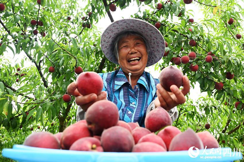 豐收的喜悅。蘭自濤攝