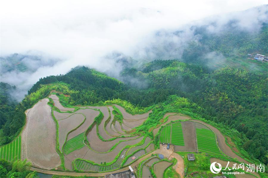 云中梯田美如畫。人民網(wǎng) 李芳森攝