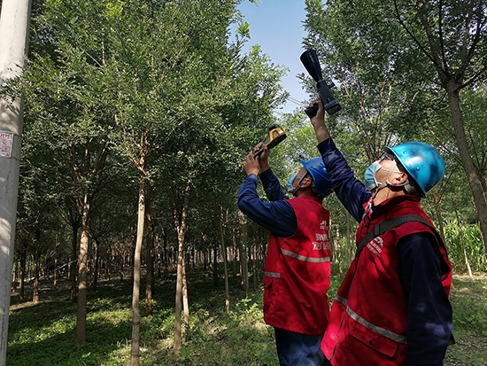 工作人員進(jìn)行紅外測溫及超聲波局部放電檢測。 王亮攝