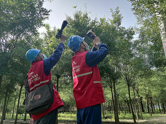 工作人員進(jìn)行紅外測溫及超聲波局部放電檢測。 王亮攝