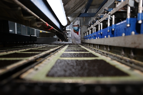 柘汪紫菜產(chǎn)業(yè)園內(nèi)入駐企業(yè)的紫菜生產(chǎn)線。贛榆區(qū)委宣傳部供圖