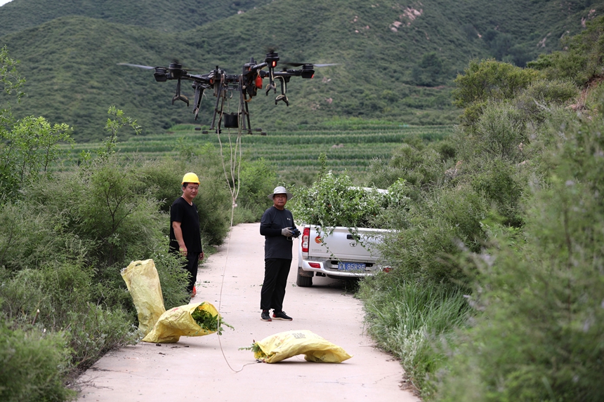 在石家莊市井陘縣吳家窯鄉(xiāng)長峪村荒山造林現(xiàn)場，一名無人機手操控?zé)o人機運輸樹苗。王保龍攝