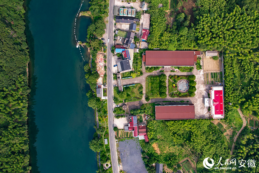 儲(chǔ)家灘民宿區(qū)。人民網(wǎng)記者 苗子健攝