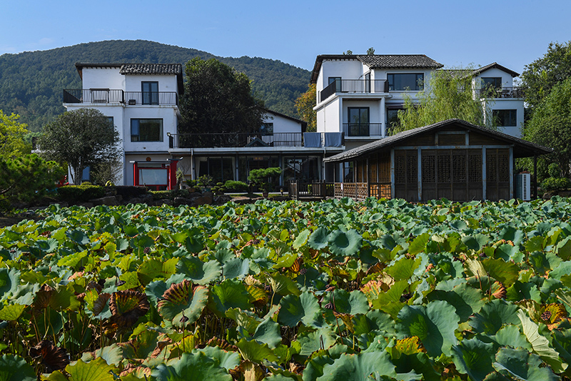 雨悅山房負責(zé)人原來在馬達加斯加打理酒店，之所以“從馬達加斯加到肥東”，源于對家鄉(xiāng)民宿前景看好。吳芳攝