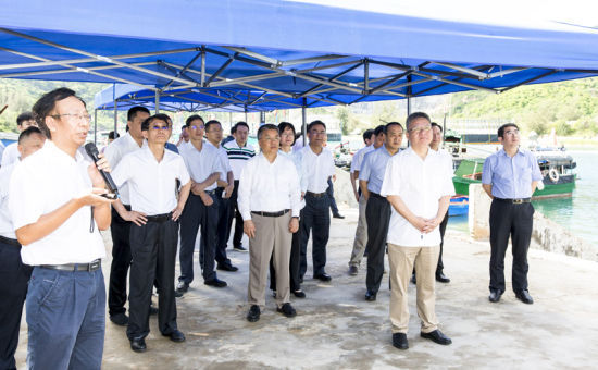 2019年6月21日上午，省長沈曉明率省政府班子成員在三亞鐵爐港調(diào)研項(xiàng)目規(guī)劃建設(shè)情況。海南日?qǐng)?bào)記者 宋國強(qiáng) 攝