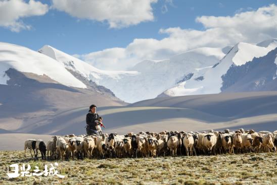 治愈你的不止曠野，更是真實的生活