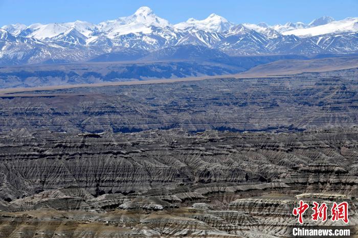 4月5日，西藏阿里札達(dá)土林?！±盍?攝