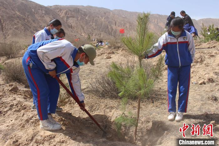 青海多地國(guó)土綠化扮靚高原顏值每年保持400萬畝