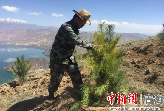 圖為尖扎干部職工生態(tài)建設(shè)和環(huán)境保護(hù)現(xiàn)場(chǎng)。尖宣 供圖