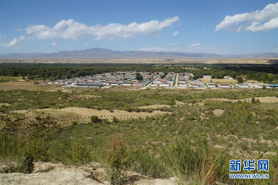 （決戰(zhàn)決勝脫貧攻堅·圖文互動）（2）高原鄉(xiāng)鎮(zhèn)沙珠玉 治沙斗貧成“綠?！薄嗪Ｊ」埠涂h沙珠玉鄉(xiāng)采訪見聞