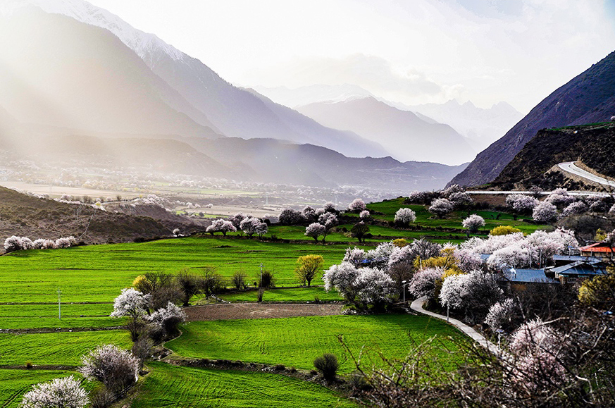 西藏林芝市波密縣傾多鎮(zhèn)八朵卡的田園風(fēng)光（攝于4月5日）。新華網(wǎng) 達(dá)娃攝.jpg