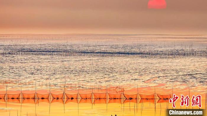江蘇鹽城被譽為金灘銀蕩、魚米之鄉(xiāng)。　鹽城市委宣傳部供圖