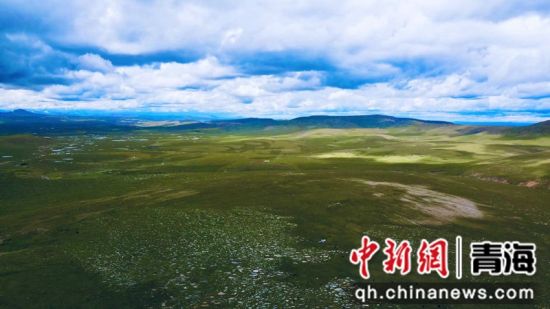 圖為長(zhǎng)江南源沼澤濕地。李江寧攝